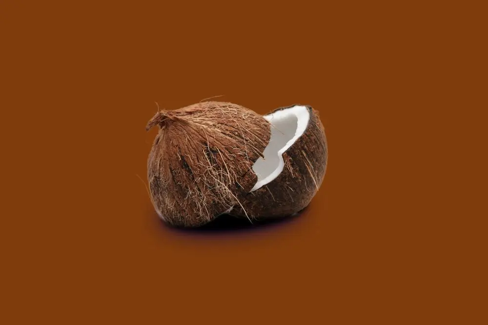 Coconut