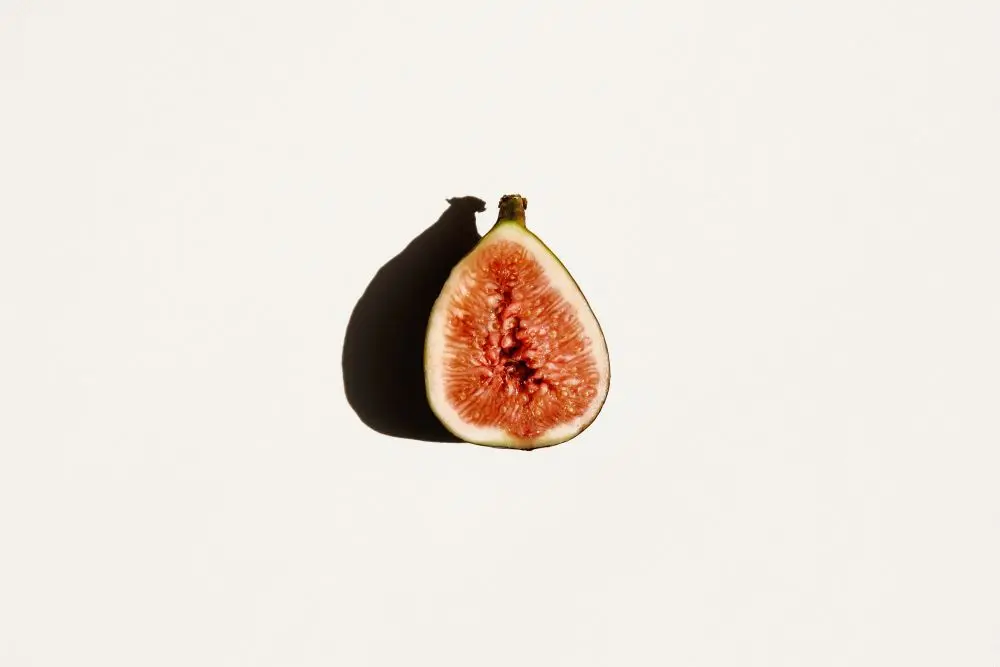 Fig